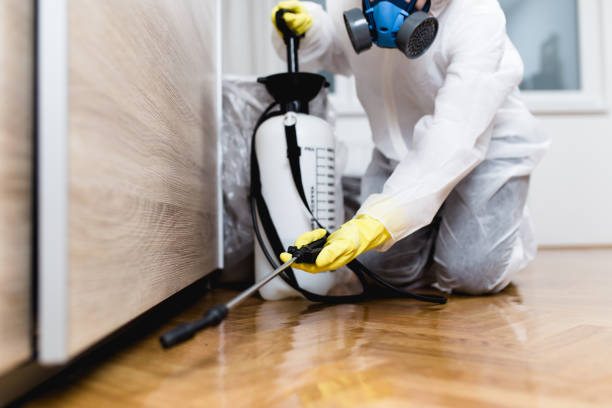 Wasp Removal Services in Fairfield, AL