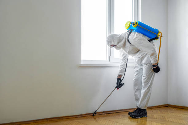 Best Bed Bug Extermination  in Fairfield, AL