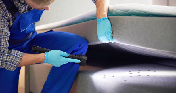 Reliable Fairfield, AL Pest Control Solutions