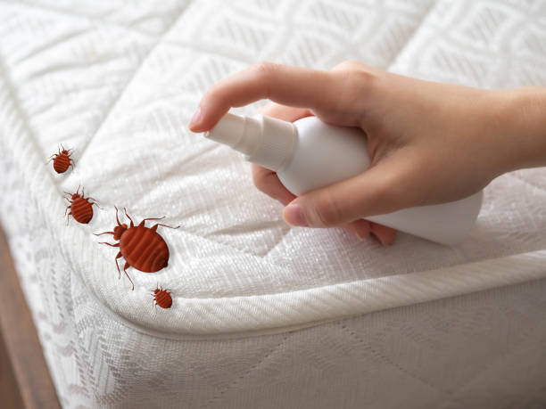 Best Best Pest Control Companies  in Fairfield, AL
