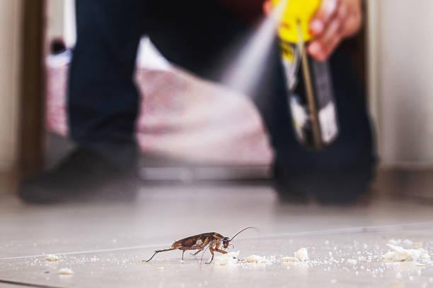 Best Exterminator Services  in Fairfield, AL