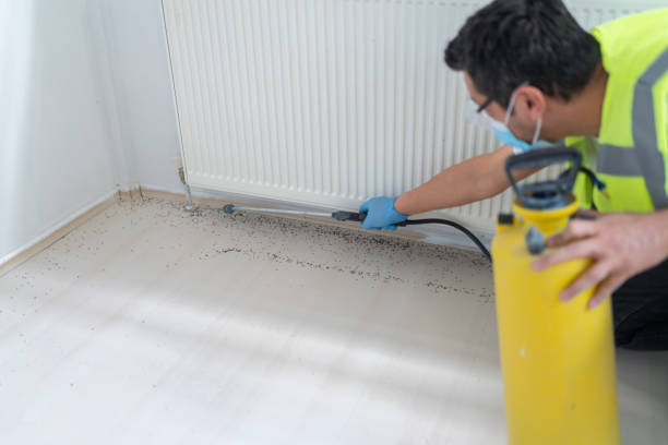 Best Residential Pest Control  in Fairfield, AL