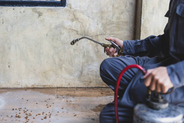 Best Residential Pest Control  in Fairfield, AL