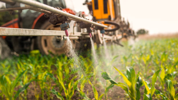 Best Insect Control  in Fairfield, AL
