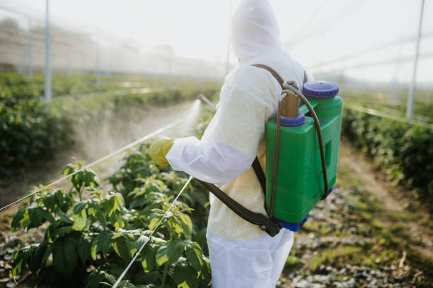 Best Cockroach Control Services  in Fairfield, AL